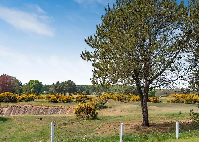 The Old School Vakantiehuis *