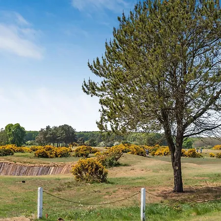 The Old School 度假居 *